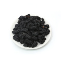 Sang Shen Natural Dried Black Beauty Fruiting Mulberry Dry Herb Black Mulberry For Sale